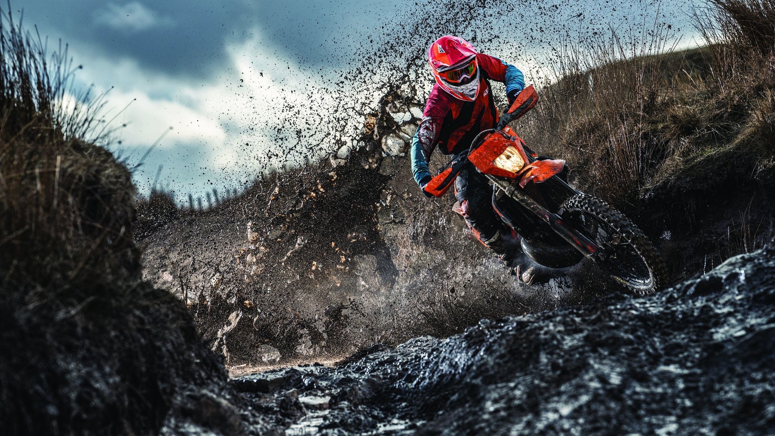 联盟与政府合作开展校园体育基础设施改善项目，学校体育基础设施